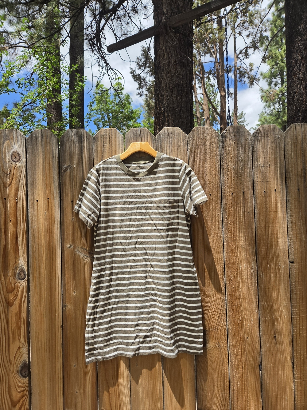 Everlane Tshirt Dress